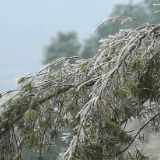 【大美鹤城】初雪添雅韵 黄岩凉山银装俏