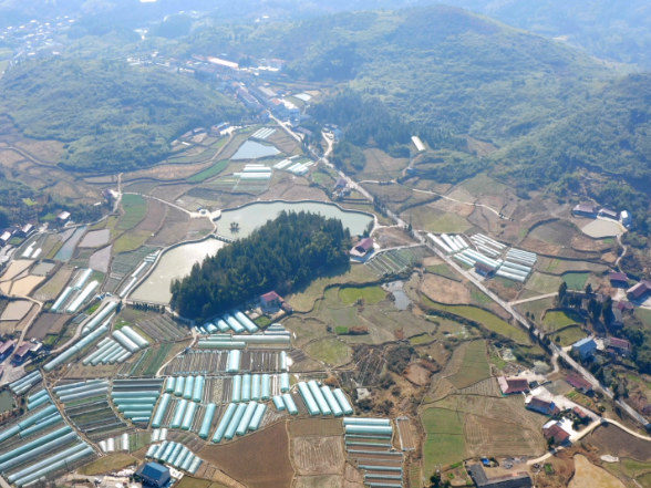 【大美鹤城】山水织锦入画来 大坪村绘就农旅融合新图景