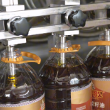 盛源油脂有限公司：科技赋能全链升级 绘就“十五五”油茶产业新蓝图