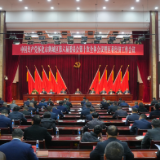 区委六届十次全会暨区委经济工作会议召开