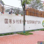 国家地理标志产品溆浦鹅美食研发中心落户鹤城