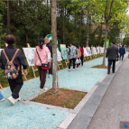 这场开在公园里的书画展,为何有点“冷”?