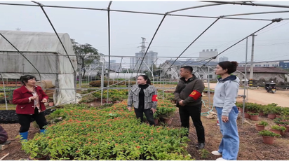 迎丰街道板山村：开展秸秆落叶禁烧宣传巡查