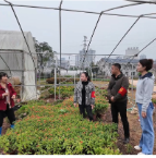 迎丰街道板山村:开展秸秆落叶禁烧宣传巡查
