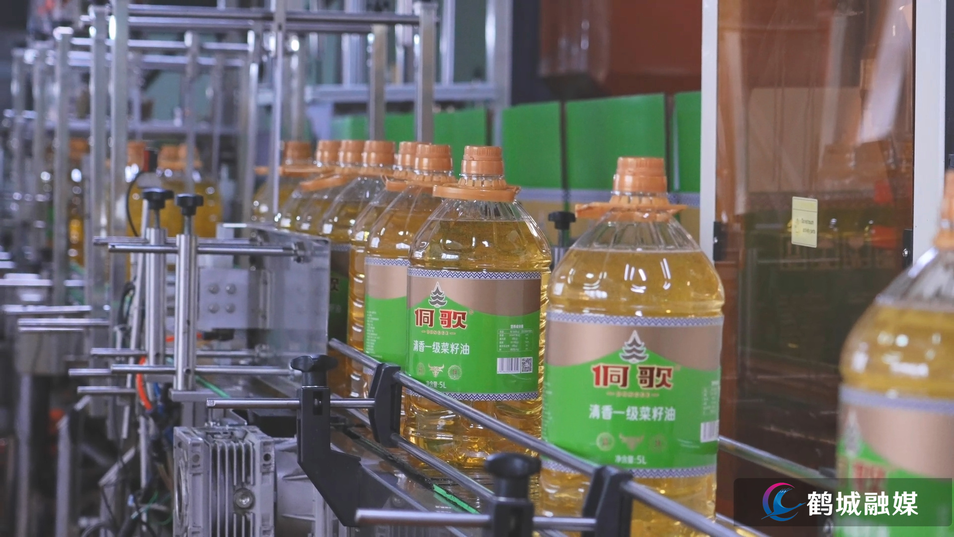 怀化市鹤城区:复工复产赶订单 油茶产业“开门红”(原声素材1).mp4_000247.024.jpg 怀化市鹤城区:复工复产赶订单 油茶产业“开门红”(原声素材1).mp4_000247.024.jpg