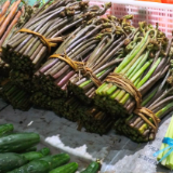 春日野菜集中上市 城乡共享自然鲜滋味