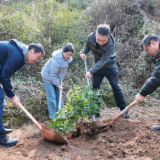 植护并举添新绿 携手尽责护春光