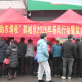 鹤城区人社局：春风送岗暖民心 精准帮扶促就业