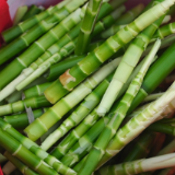 春日挖笋寻野趣 黄岩竹笋采摘成乡村旅游新亮点