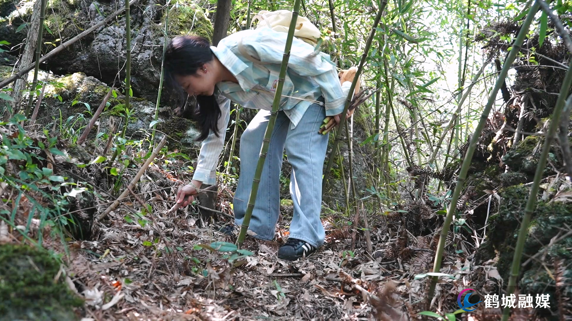 春日挖笋寻野趣 黄岩竹笋采摘成乡村旅游新亮点.mp4_000033.688.jpg