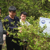湖南农大生物科学技术学院专家团赴鹤城 科技赋能农业产业发展