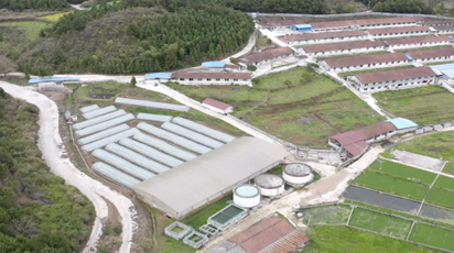 兴隆农业：二十余载“种养循环”路 智慧赋能“生态致富”