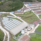 兴隆农业：二十余载“种养循环”路 智慧赋能“生态致富”