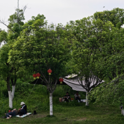 城南街道：假期漫游 解锁城市慢生活