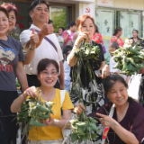 【我们的节日・端午】鹤城区开展 2026 年“我们的节日・端午”新时代文明实践活动