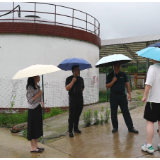 科技赋能生猪养殖智能传感技术即将落地鹤城养殖企业