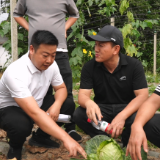 【科技活动周】鹤城区：科技下乡助生产 专家赋能促振兴