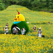 【聚焦鹤城区第七次党代会·鹤城这五年】    精细管理提品质  城市更新焕新颜