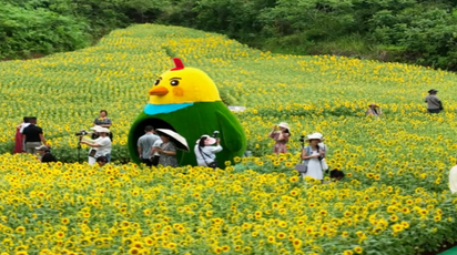 【聚焦鹤城区第七次党代会·鹤城这五年】    精细管理提品质  城市更新焕新颜