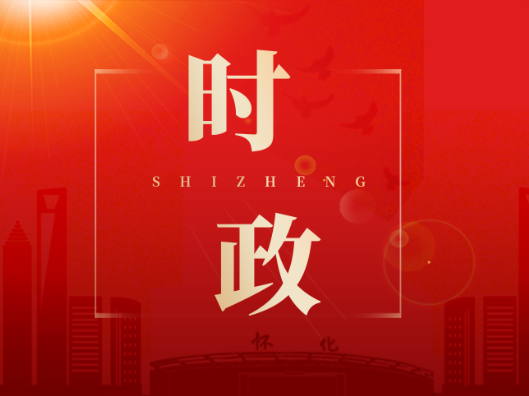 唐成主持召开全区民生领域信访问题集中治理工作调度会