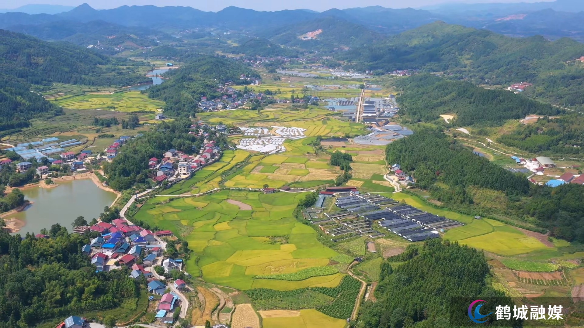 流动供销进村组 城乡物资双流通-鹤城区乡镇.mp4_20260916_163029.jpg