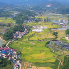 鹤城区:流动供销进村组 城乡物资双流