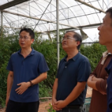 科技送良方 省农科院专家走进鹤城开展志愿服务