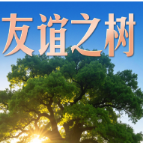 习言道｜在白宫，习近平提到了一棵树和一片林 