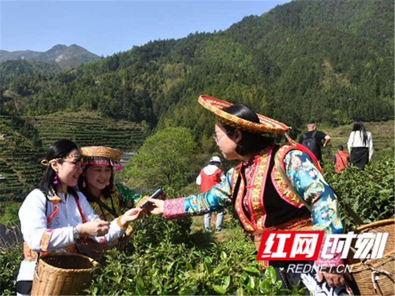 微信图片_20230420181127.jpg