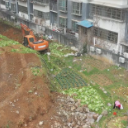 【聚力“一迎三创”  提升城市品质】  鹤城区：对主城区未开发用地实施临时绿化养护管理