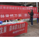 黄金坳镇：开展林长制宣传活动