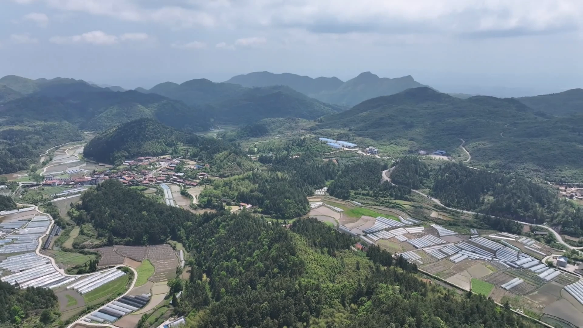 鹤城区：三方合力抓整改 助力乡村振兴蝶变.mp4_20240522_153645.294.png