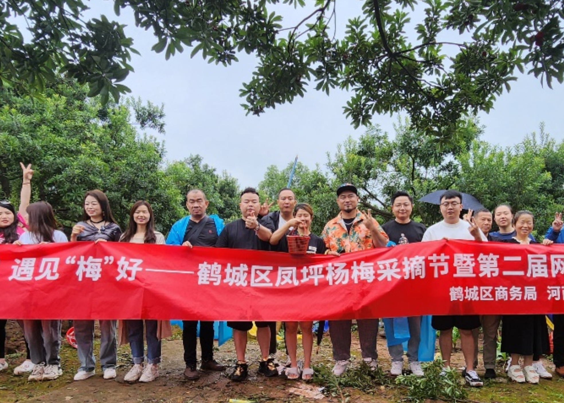 鹤城区：“数商兴农”助力凤坪杨梅“出圈”