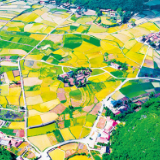 喜报 ！《求是》杂志刊发怀化市鹤城区乡村振兴新画卷美图