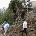 【统筹抓好防汛抗灾和灾后重建】300名园林工人投入溪河风光带清淤工作