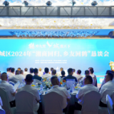 鹤城区举行2024年“湘商回归 乡友回鹤”恳谈会