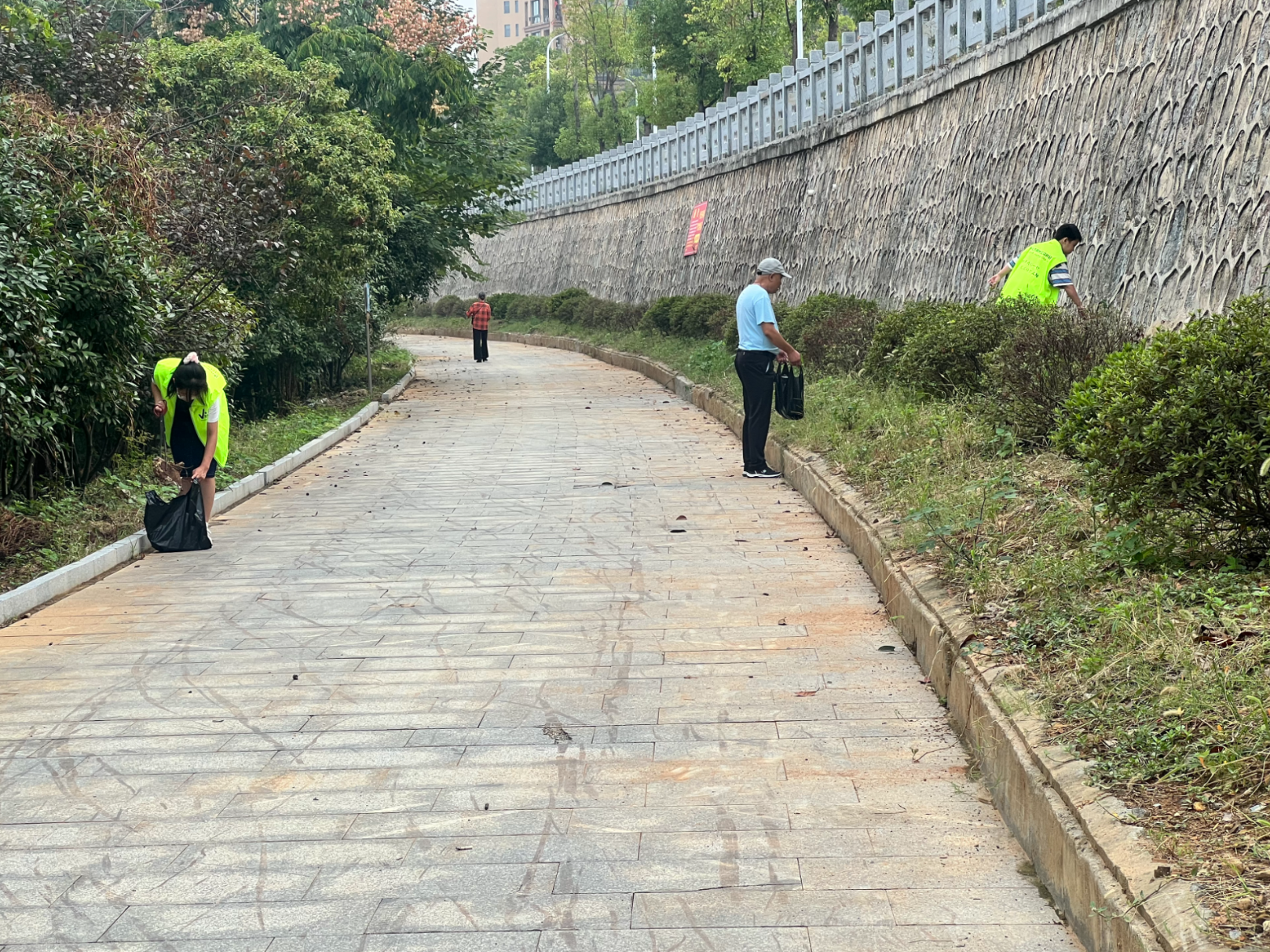【畅游鹤城 双节同庆】“河小青”志愿活动庆国庆  守护太平溪水生态