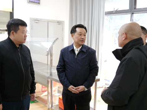 在鹤市六届人大代表第一小组开展城市品质提升专题视察 唐成出席