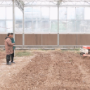 【春耕生产进行时】 鹤城区：自动旋耕机“出征”蔬菜基地春耕“加速度”