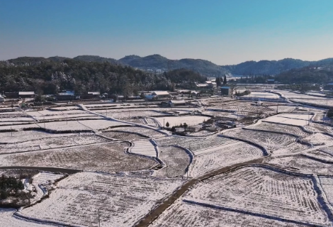 鹤城区：黄岩春雪美如画 雪落人间欢乐多