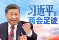 习言道丨习近平的两会足迹