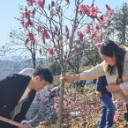 鹤城区总工会：播撒绿色希望 传承劳动精神