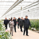 时政微观察丨生活像花儿一样美