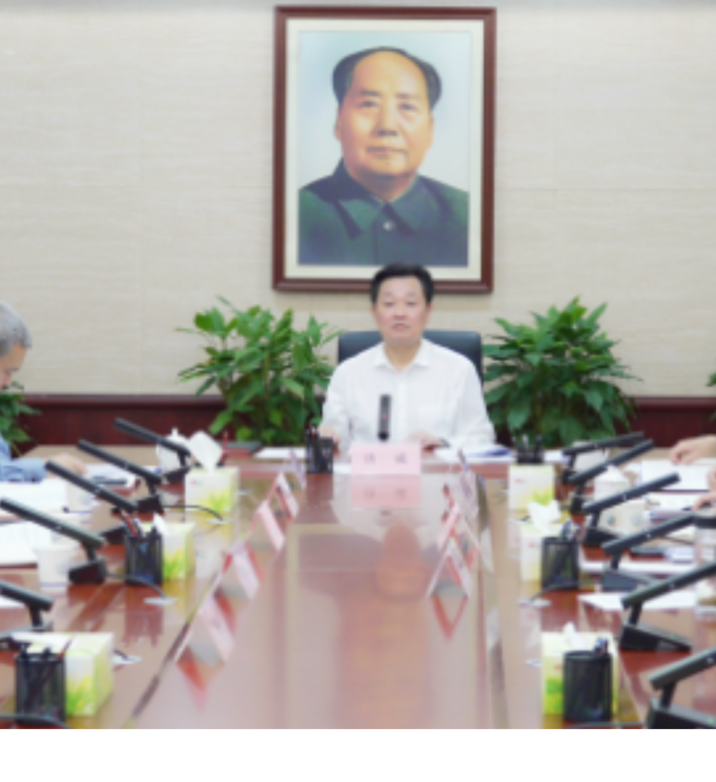 唐成主持召开区委审计委员会第八次会议