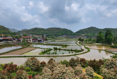 【福地怀化•浪漫季｜大美怀化】 鹤城区：黄岩大坪村 云端田园绘就初夏美景