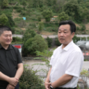 唐成调研鹤城区重点文旅项目建设并督导检查安全生产工作