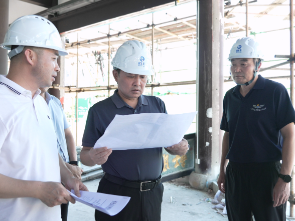 唐成调研鹤城区重点文旅项目建设及隆平大道周边环境整治工作