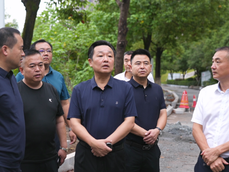 唐成调研文旅重点项目建设并督导检查安全生产工作