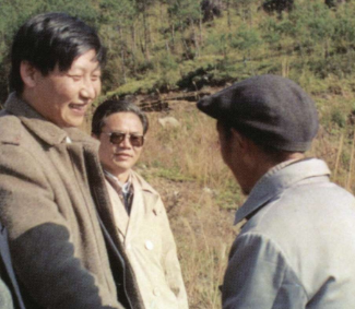 学习·故事丨青山变“金”山 习近平与三棵杉树的故事