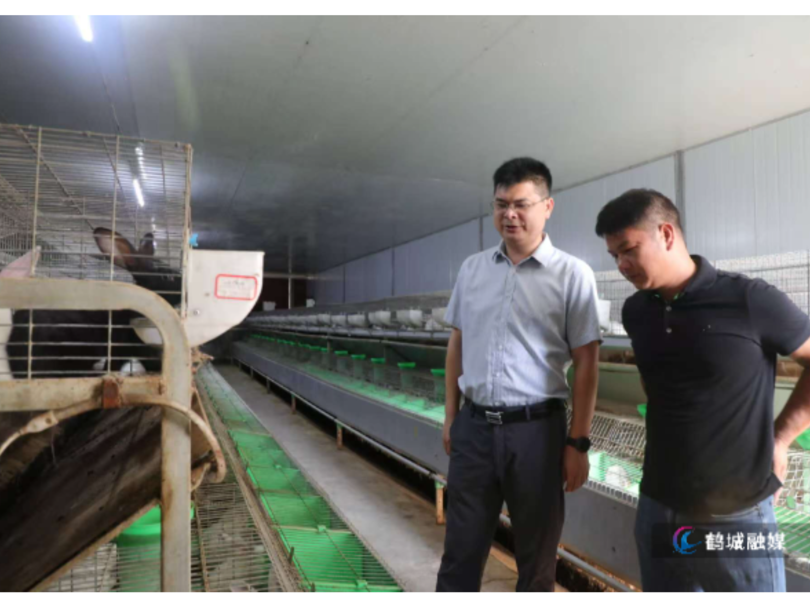 郑明明调研巩固拓展脱贫攻坚成果同乡村振兴有效衔接工作